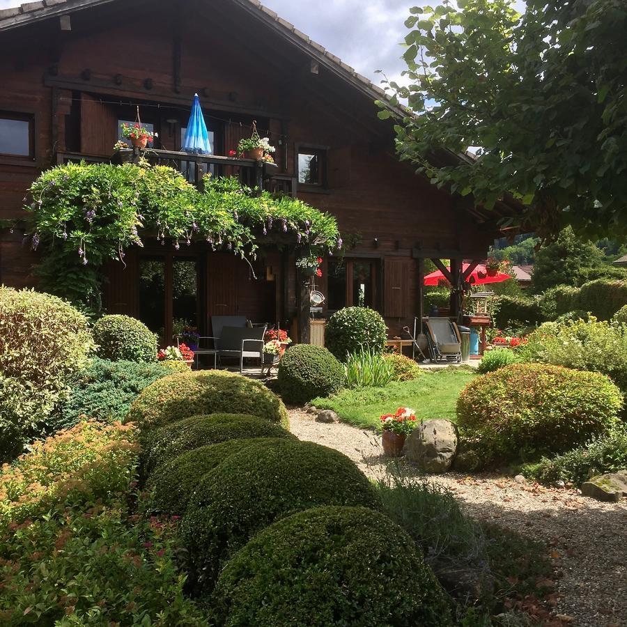 Chalet Les Chouettes Thônes Kültér fotó